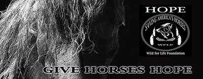 Give Horses Hope